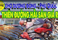 Kinh nghiệm mua hải sản chợ Dương Đông Phú Quốc mới nhất
